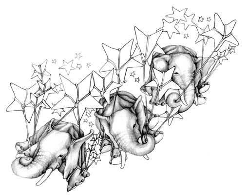 graphite illustration african elephant float from stars