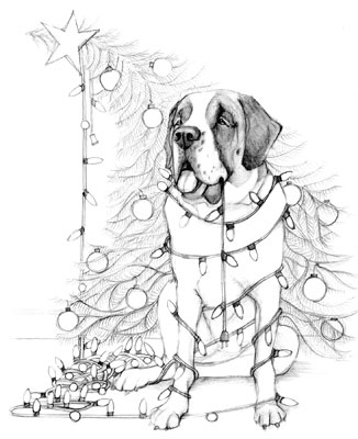 graphite illustration st. bernard dog with christmas lights