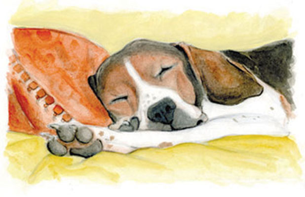 gouache and watercolor illustration hound sleeps