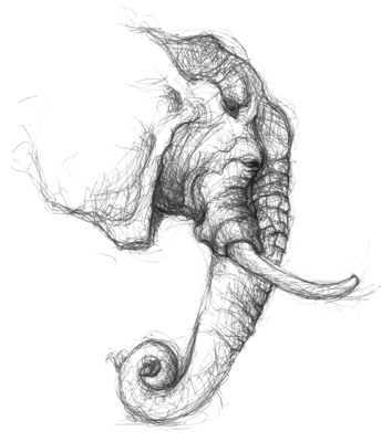 graphite illustration elephant sketch