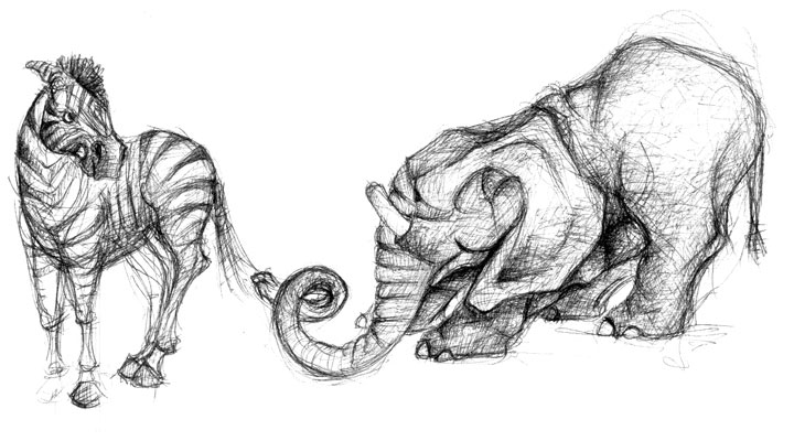 graphite illustration elepahnt harassing zebra sketch