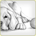 graphite illustration labrador retriever sketch